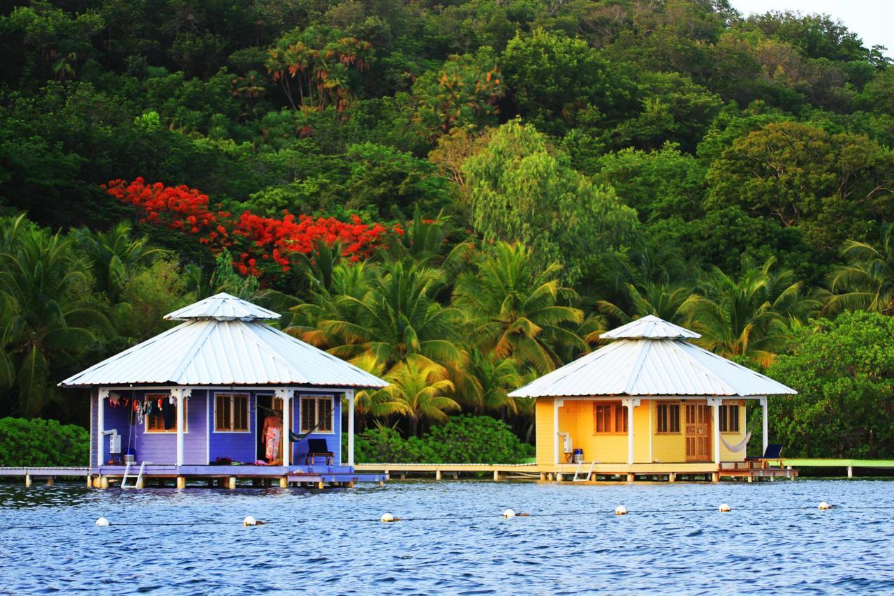 Mango Creek Lodge Port Royal Exterior foto