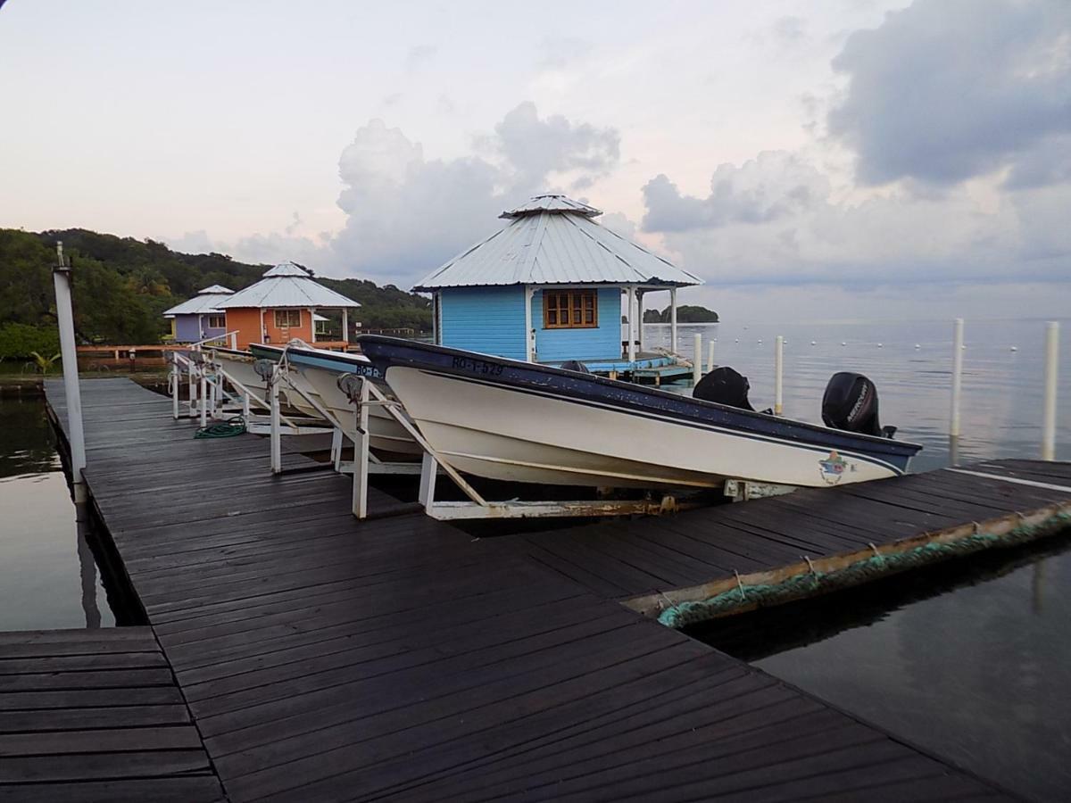 Mango Creek Lodge Port Royal Exterior foto
