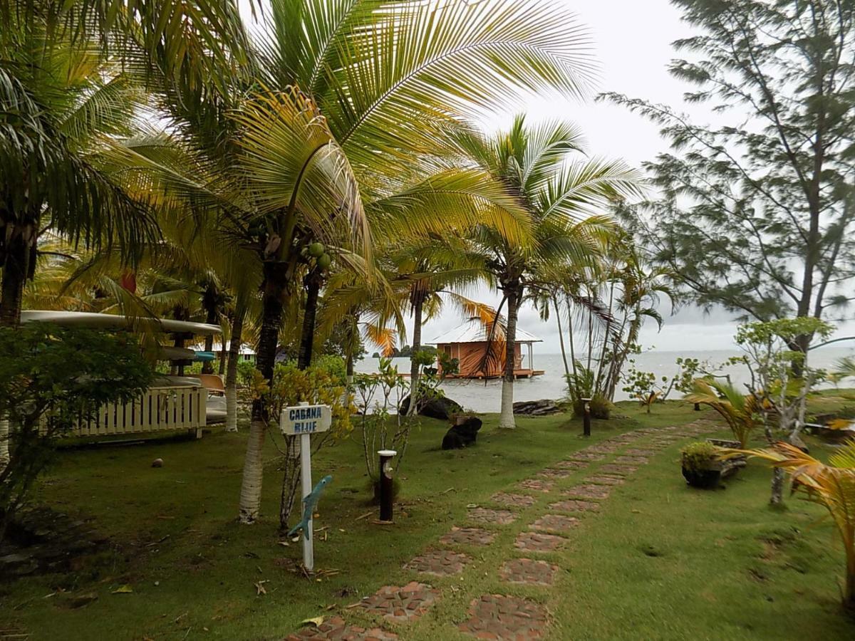 Mango Creek Lodge Port Royal Exterior foto